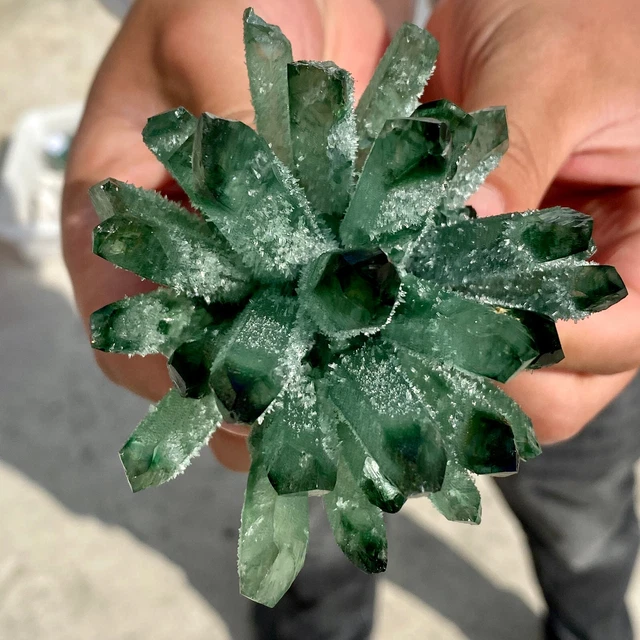 279G New Find Green Phantom Quartz Crystal Cluster Mineral Specimen Healing 6