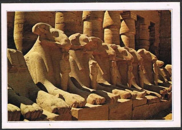 Postcard. Egypt. Sphinx Avenue. Amon Temple. Karnak. Used with message..