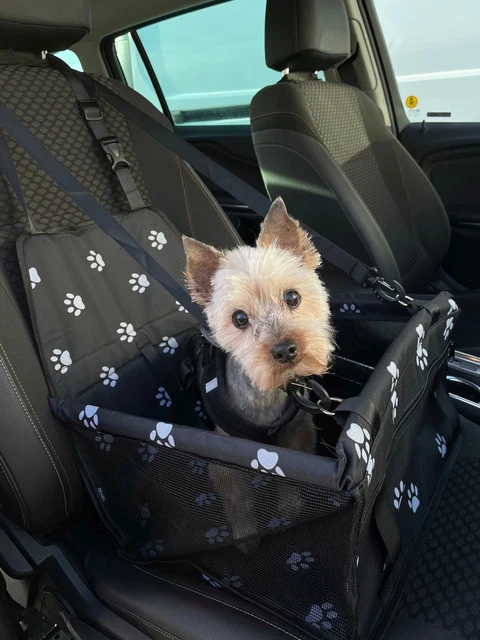 Siège Auto Renforcé Pour Chien - Hamac Stable Avec Laisse Pour Petits/Moyens Chiens (jusqu'à 18kg)