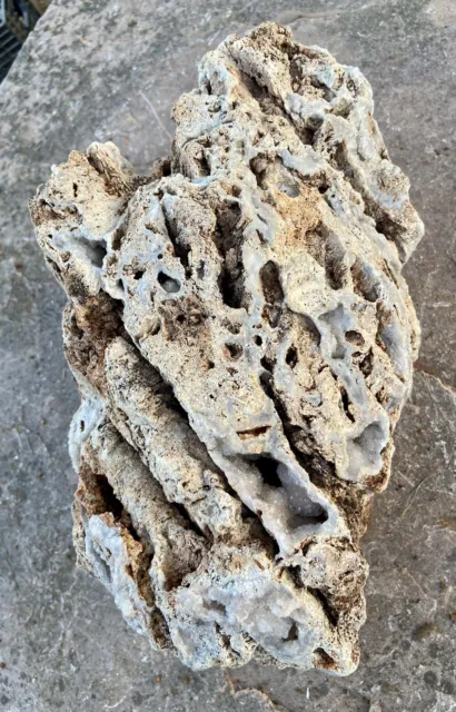 EXCELLENT* 14 Lb Fossil Coral Rock Unique Natural Decor~Pretty Sparkling Druzy