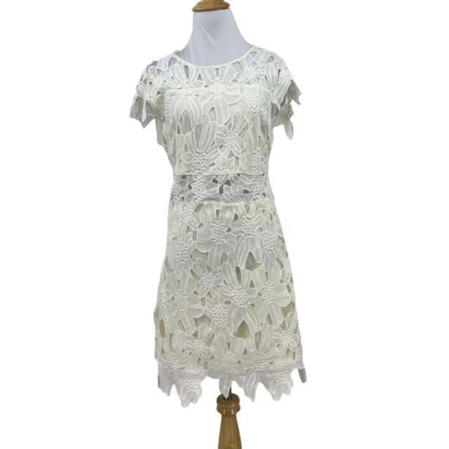 Romeo & Juliet Lace Short Sleeve Mini Dress Womens M Medium Ivory Back Zip Lined