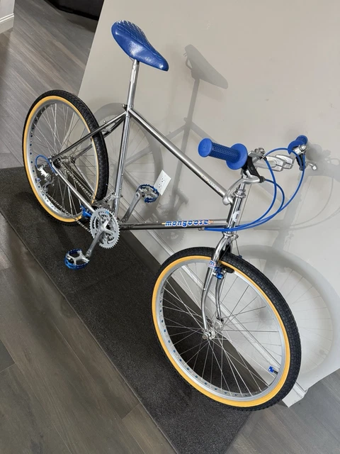 ロッド Catalina Stick 59S-4/5 Interface Oral Health Science PDF | PDF | Tissue Engineering