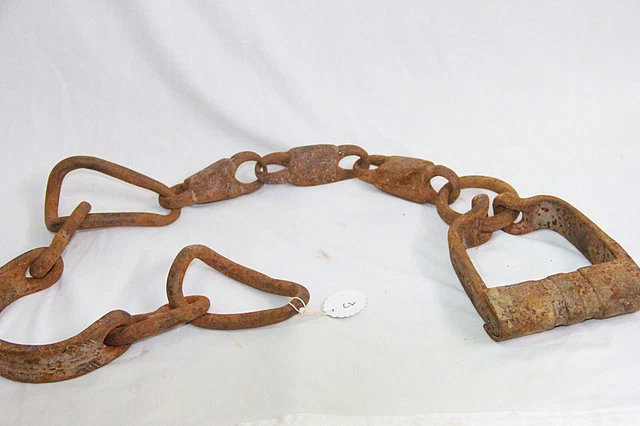 Mors De Bride Western AHE – Chaîne 5 Bouches, Gravé Argent, Couleur Marron