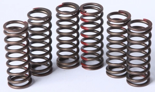 Pro Circuit Clutch Springs - CSH04450