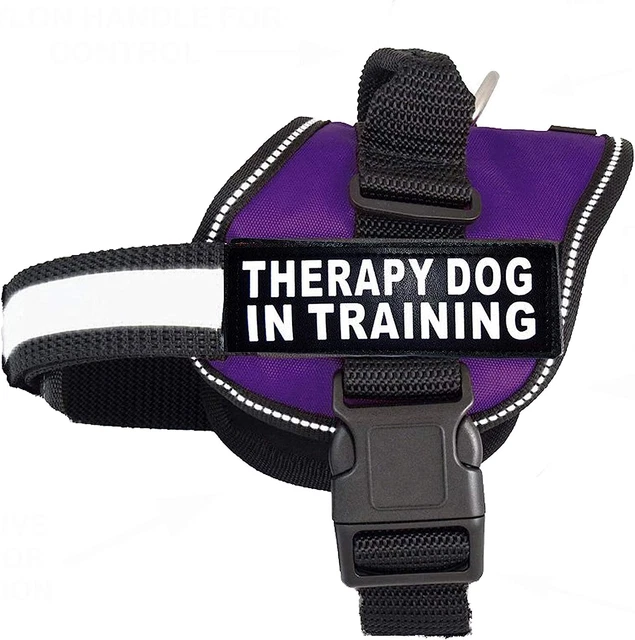 Therapy Dog in Training Nylon Dog Vest Harness. Purchase Comes with 2 Reflective