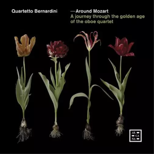 Wolfgang Amadeu Quartetto Bernardini: Around Mozart: A Journey Through the  (CD)