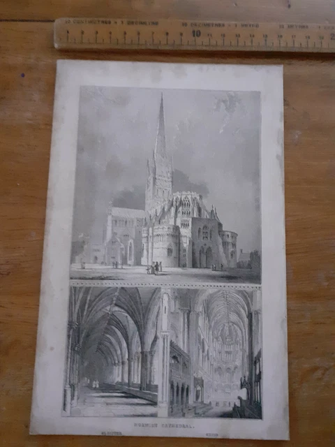 Druckgravur Norwich Cathedral 2