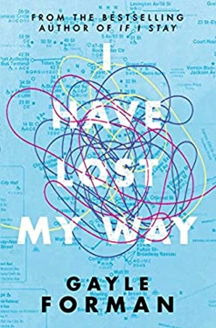 I HAVE LOST My Way Livre de Poche Gayle EUR 4,34 PicClick FR