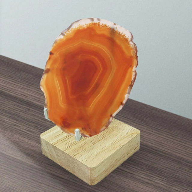 Sphere Display Holder Stones Sfere titolari per la fotografia di decorazioni