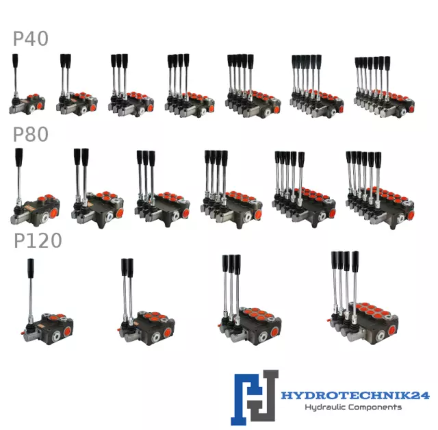 ELEKTROMAGNETISCHES STEUERVENTIL 12-24 Volt, 1 bis 7 Sektion, 40-80L, DW  Zylinde EUR 170,55 - PicClick DE