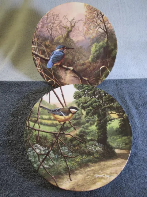 2 Lovely Vintage Royal Doulton Treasures Of Morning Plate Great Tit & Kingfisher 2