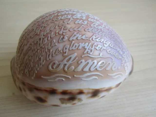 Cowrie Carved Sea Shell 'The Lords Prayer' - Vintage