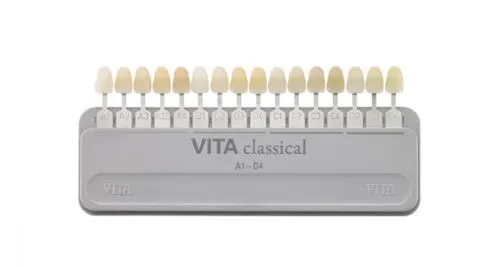 Vita Classic Shade Guide Dental Original Free Shipping Worldwide