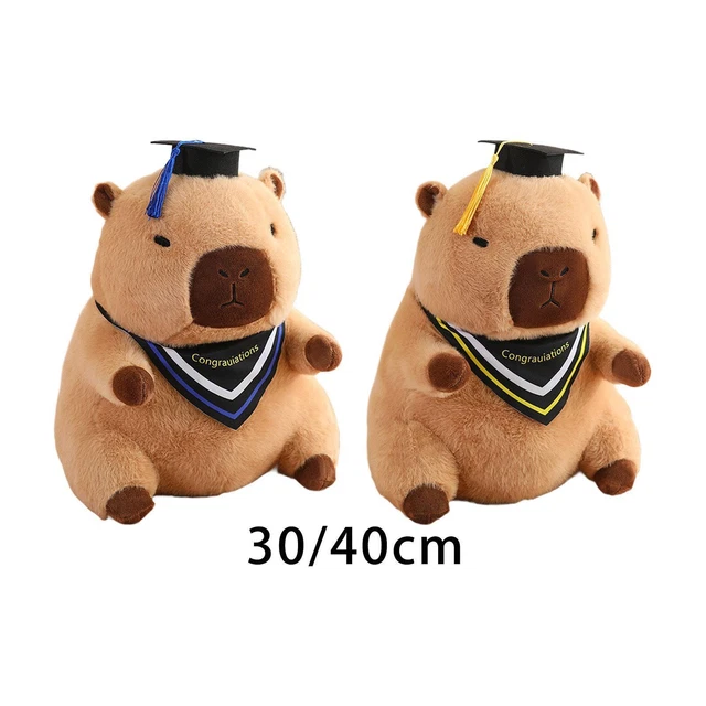 KBIBCK Peluche Capybara De 23 Cm Con Birrete Negro – Juguete Suave Y Original, Perfecto Para Graduación, Regalo Para Niños Y Adultos
