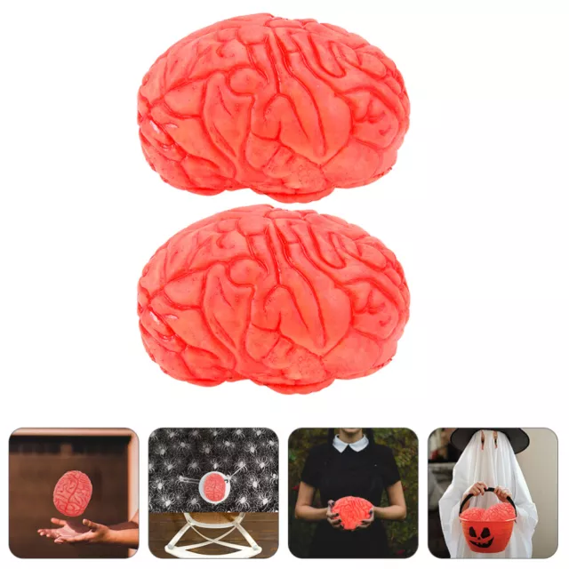 2 Pcs Simulation of Human Organs Halloween Brains Realistic Models Emulsion