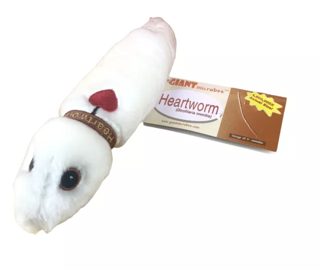GIANT MICROBES Drew Oliver White Worm Health Science Education Novelty Plush