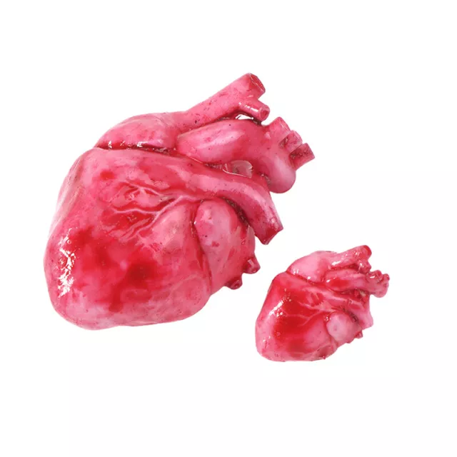 1/18 Scale Resin Human Heart Model Realistic Hand-Painted Organ Mold Toys F1