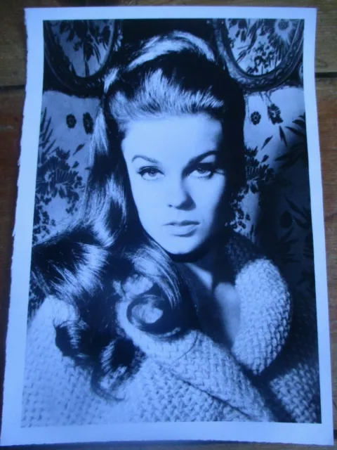 ANN-MARGRET ORIGINAL PRESS publicity photo with caption on rear 1968 ...