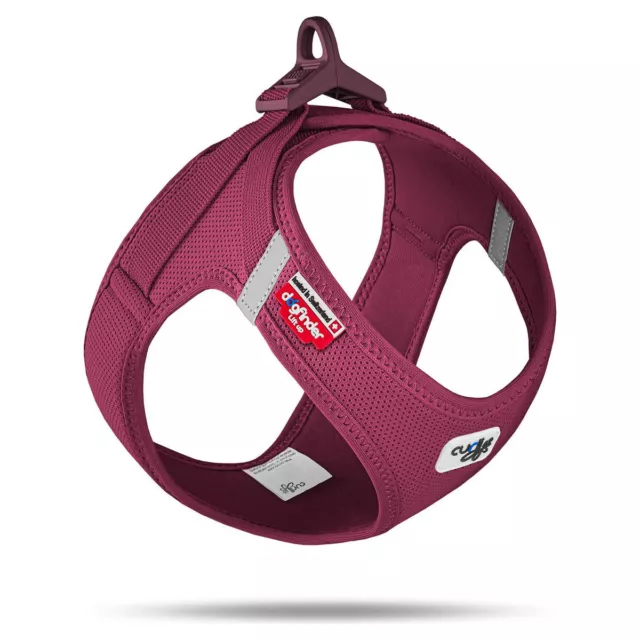 Curli Clasp Vest Vaisselle Air-Mesh Édition Spéciale 2022 Ruby, Divers Tailles