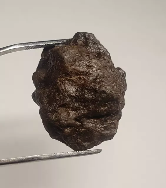 Meteorite Chondrite NWA du Sahara 15,60gr tektite tectite iron impactite mineral