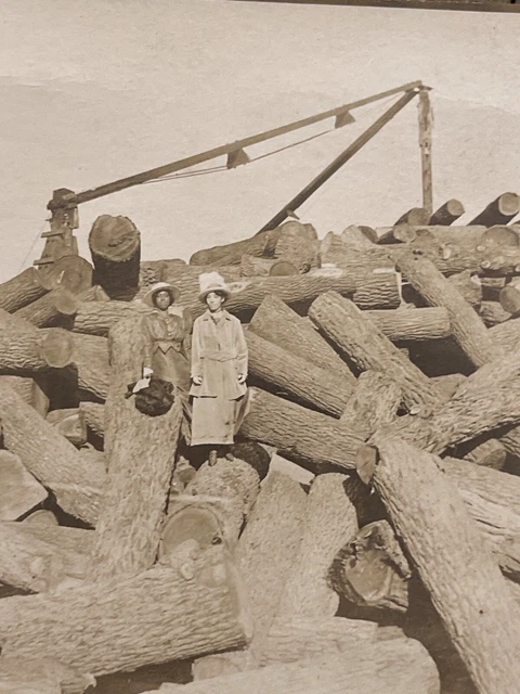 2 Fancy Dressed Black Women Standing on Giant Logs RPPC Black Americana 2 Fancy Dressed Black Women Standing on Giant Logs RPPC Black Americana