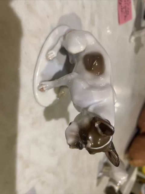 Porcelain French Bulldog Rosenthal Bavaria