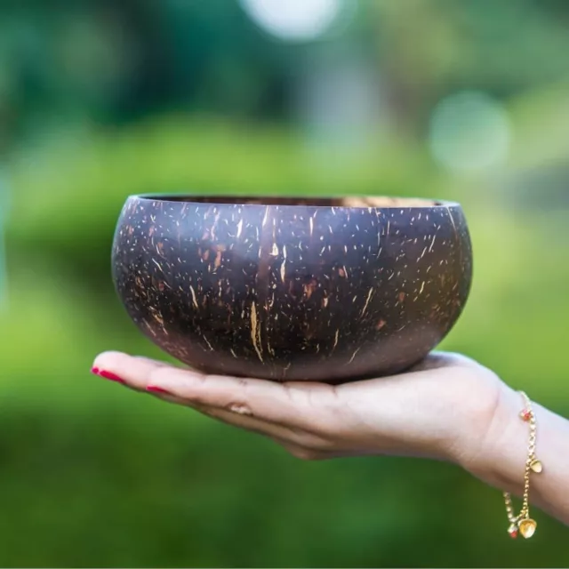 Coconut Shell Bowl 100% Natural Fair Trade Sustainable New Handmade