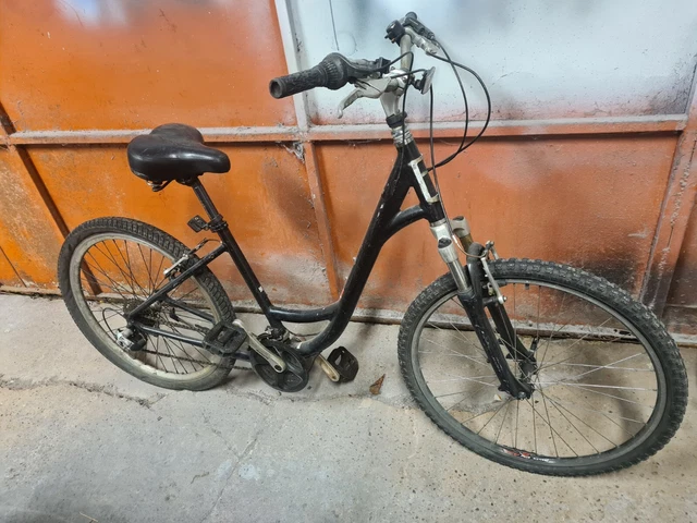 Specialized expedition 2025 low entry price