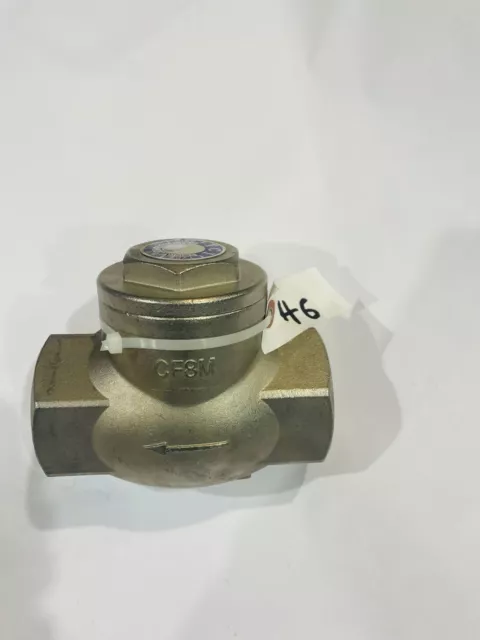 2" NPT Swing Check Valve, 316SS