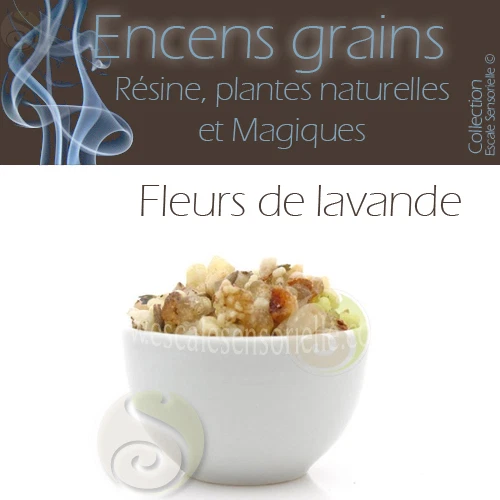 50g Encens en grains naturel fleur de lavande purificateur protecteur Esotérisme