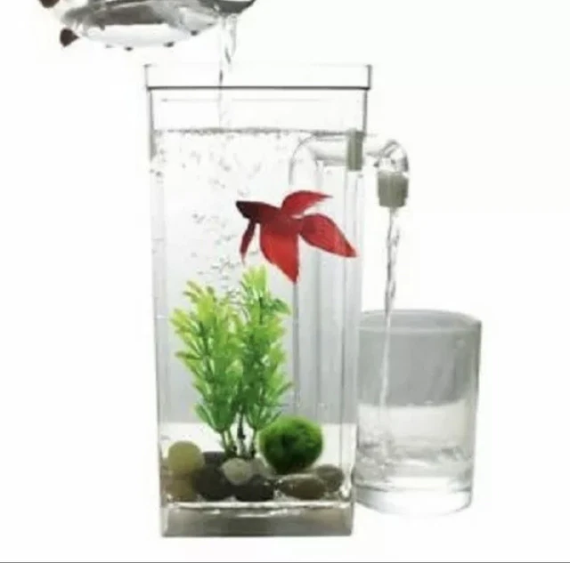 My Fun Fish Cleaning Tank 2