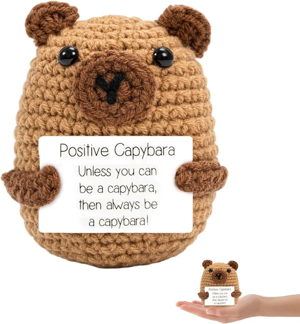 POSITIVE CAPYBARA GIFTS, Emotional Support Gift with Positive ...