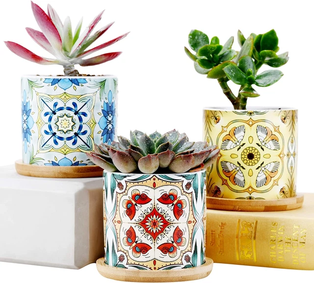 Cactus In Ceramica Piccolo - Italia - Foto 5