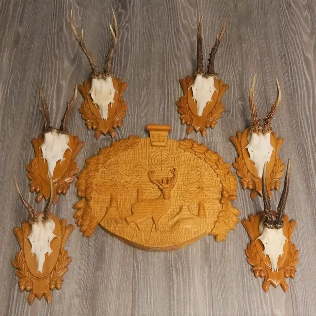 6 Pieza Cornamenta de Corzo En Geschnitztem Escudo Trofeo + 1 Tallado Placa Tema