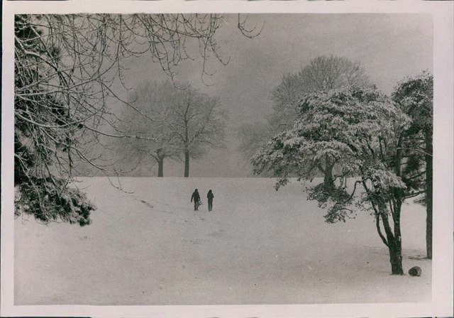 Vintage Boys Tow Sled To Snow-Covered Hill Top Cold Days Fun Weather 7X9 Photo