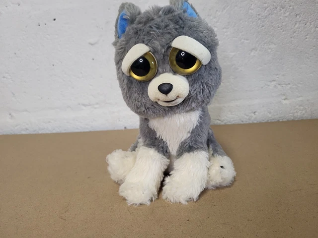 Feisty discount pets wolf