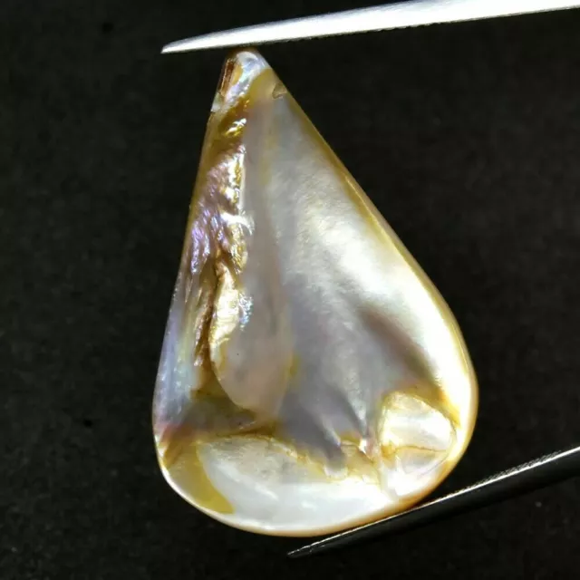 ★★   Rare !! Nacre : 20,58 Carats ★★ P132.125