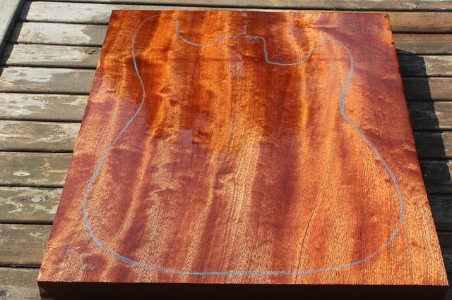 POMELLE/GESTEPPTE SAPELE einteiliger Gitarrenkörper leer 495 x 385 x 46 mm S6