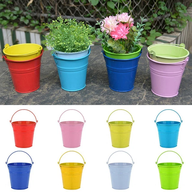 6 Pcs Pflanzentöpfe Mini-Blumentöpfe Aus Metall Pommes-Eimer Schmücken