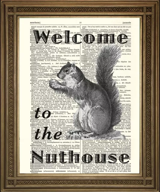 WELCOME TO THE NUTHOUSE: Squirrel Fun, Retro Antique Dictionary Page Art Print