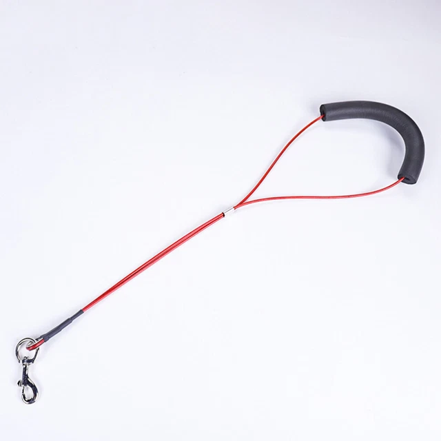 Cane animale domestico gatto animale imbracatura loop lock clip cura della corda ritenuta