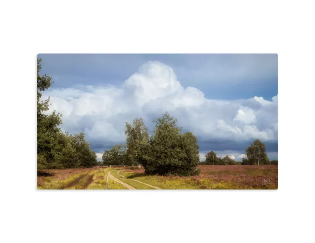 Leinwandbild Wandbild Landschaft Lüneburger Heide Heideblüte Bäume 20 x 30 cm