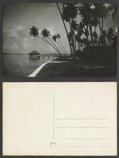Singapore Old Real Photo Postcard Tanjong Katong Katon Pier Jetty Palm Trees Sea