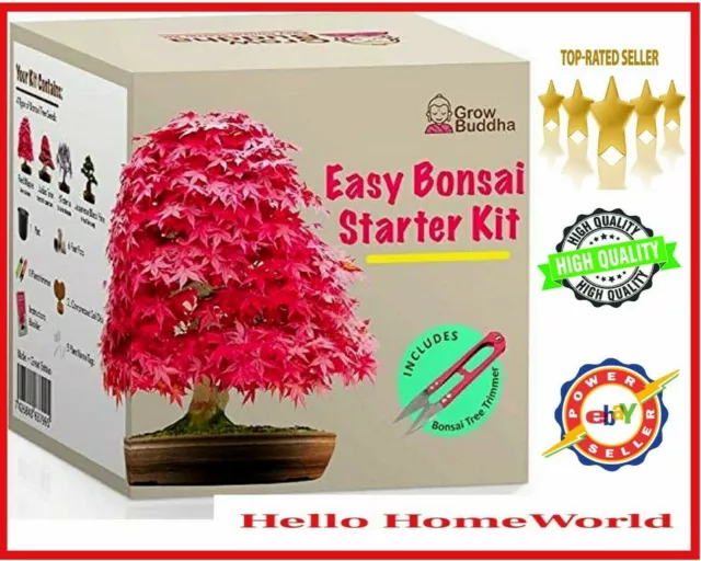 Master Bonsai Starter Kit - Grow Your Own Bonsai Trees – Grow Buddha