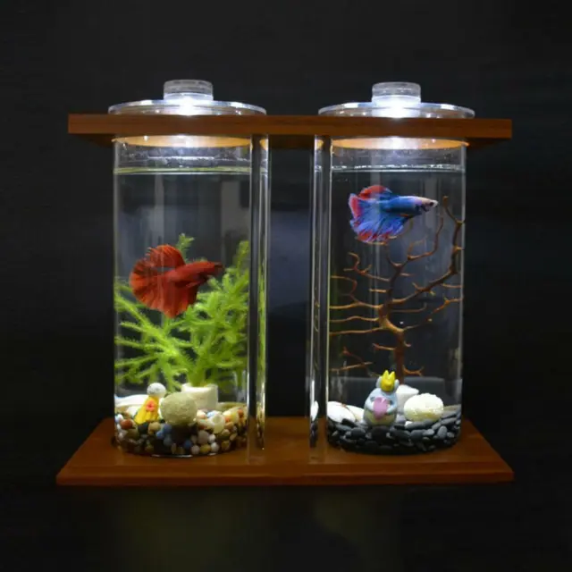 Betta Tank Aquarium Kit,Made From Glass And Bamboo