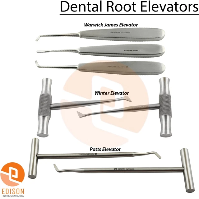 DENTAL ROOT EXTRACTION Elevators Surgical Potts Elevator Tooth