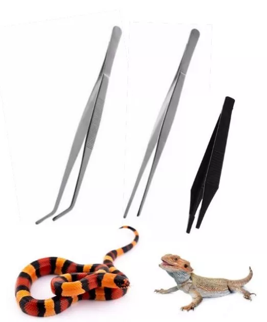 Komodo FEEDING TONGS for Reptiles Spiders Snakes etc feeding tweezers tongs