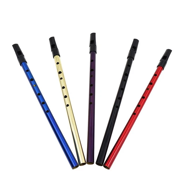 Flûte à clé D irlandaise étain penny sifflet instrument de musique tradition
