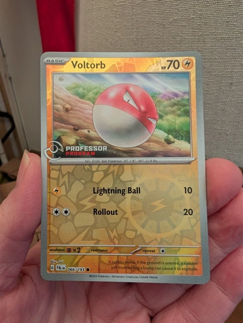 ポケカ 海外Professor program Voltorb PSA9 Pokémon TCG: Voltorb