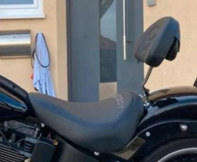 Motorrad Fahrer Rückenlehne Für Harley Davidson Universal Sissy Bar